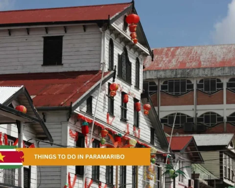 things to do in paramaribo