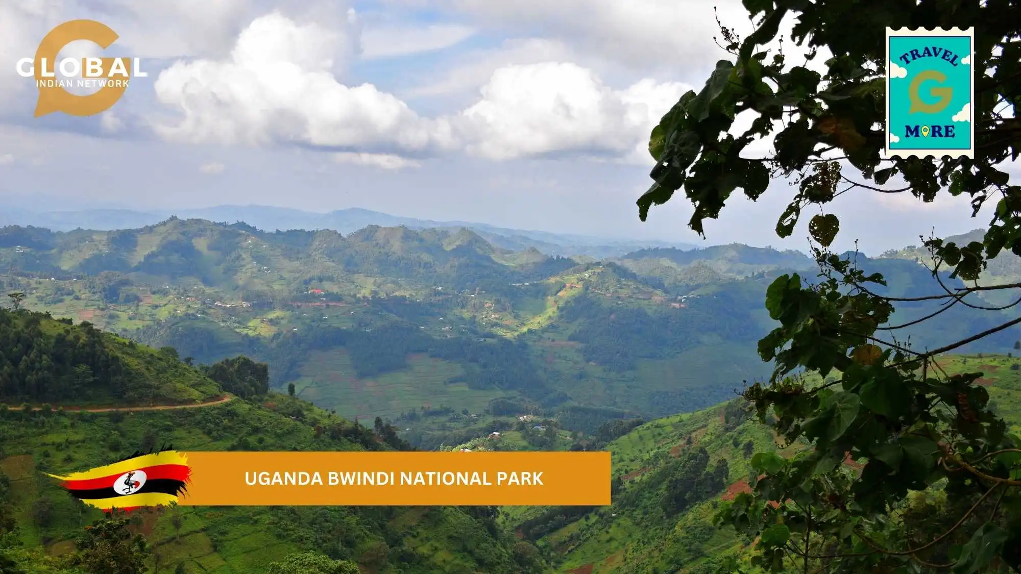 uganda bwindi national park