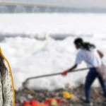 yamuna cleaning plan