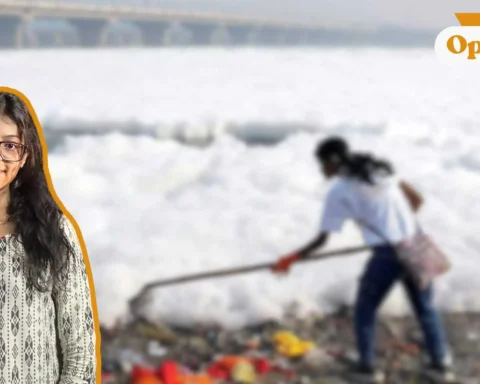 yamuna cleaning plan